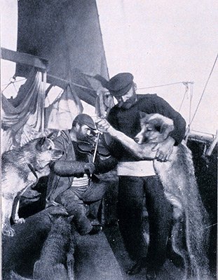 Dog dance on the Fram